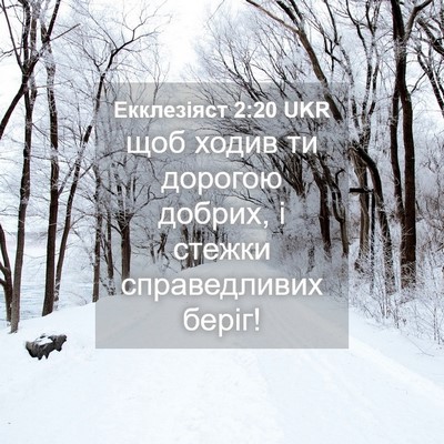 Picture 04 - Екклезіяст 2:20 UKR - щоб ходив ти дорогою - Bible Verse Picture