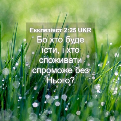 Picture 04 - Екклезіяст 2:25 UKR - Бо хто буде їсти, і хто - Bible Verse Picture