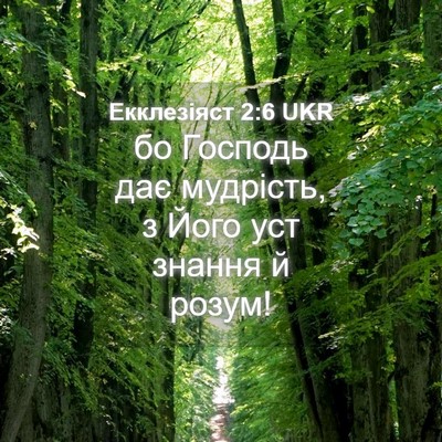 Picture 04 - Екклезіяст 2:6 UKR - бо Господь дає мудрість, з - Bible Verse Picture