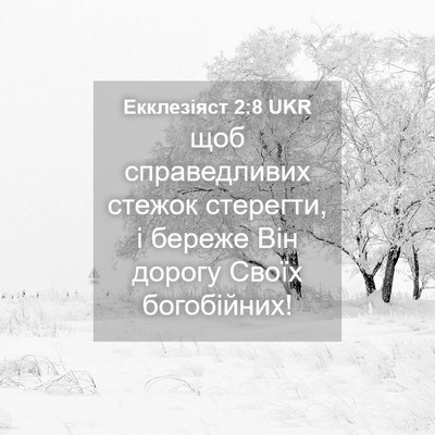 Picture 04 - Екклезіяст 2:8 UKR - щоб справедливих стежок - Bible Verse Picture