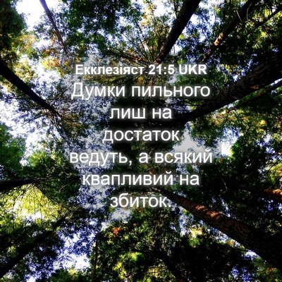 Picture 04 - Екклезіяст 21:5 UKR - Думки пильного лиш на - Bible Verse Picture