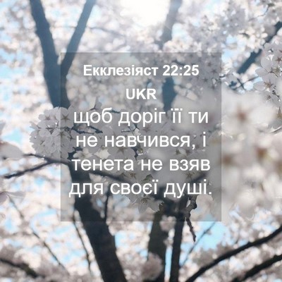 Picture 04 - Екклезіяст 22:25 UKR - щоб доріг її ти не - Bible Verse Picture