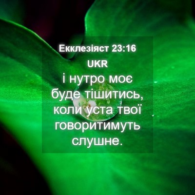 Picture 04 - Екклезіяст 23:16 UKR - і нутро моє буде тішитись, - Bible Verse Picture