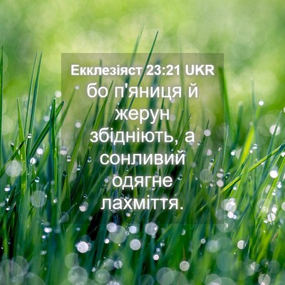 Picture 04 - Екклезіяст 23:21 UKR - бо п'яниця й жерун - Bible Verse Picture