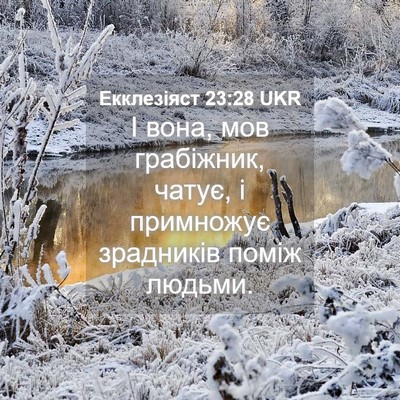 Picture 04 - Екклезіяст 23:28 UKR - І вона, мов грабіжник, - Bible Verse Picture
