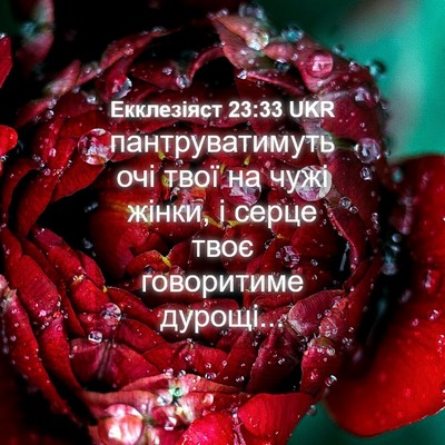 Picture 04 - Екклезіяст 23:33 UKR - пантруватимуть очі твої на - Bible Verse Picture