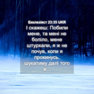Picture 04 - Екклезіяст 23:35 UKR - І скажеш: Побили мене, та - Bible Verse Picture