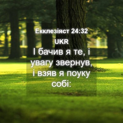 Picture 04 - Екклезіяст 24:32 UKR - І бачив я те, і увагу - Bible Verse Picture