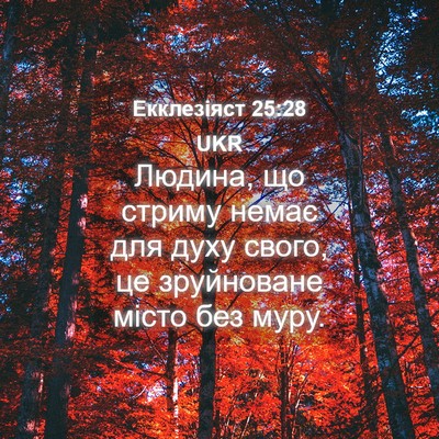 Picture 04 - Екклезіяст 25:28 UKR - Людина, що стриму немає для - Bible Verse Picture