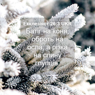 Picture 04 - Екклезіяст 26:3 UKR - Батіг на коня, оброть на - Bible Verse Picture