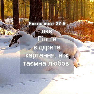 Picture 04 - Екклезіяст 27:5 UKR - Ліпше відкрите картання, - Bible Verse Picture