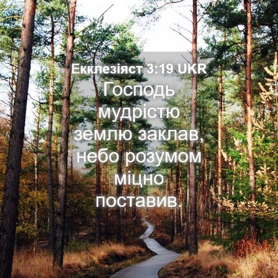 Picture 04 - Екклезіяст 3:19 UKR - Господь мудрістю землю - Bible Verse Picture