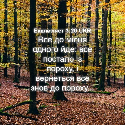 Picture 04 - Екклезіяст 3:20 UKR - Все до місця одного йде: - Bible Verse Picture