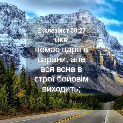 Picture 04 - Екклезіяст 30:27 UKR - немає царя в сарани, але - Bible Verse Picture