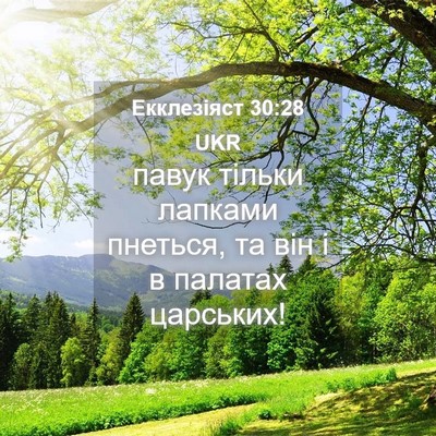 Picture 04 - Екклезіяст 30:28 UKR - павук тільки лапками - Bible Verse Picture