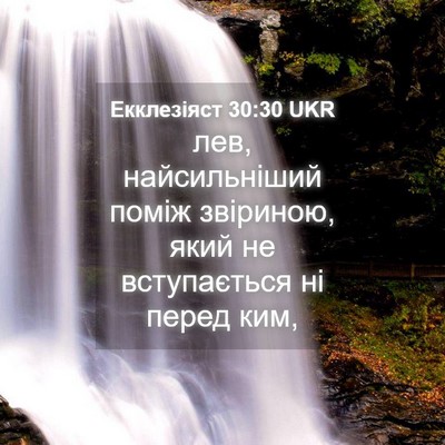 Picture 04 - Екклезіяст 30:30 UKR - лев, найсильніший поміж - Bible Verse Picture