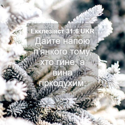 Picture 04 - Екклезіяст 31:6 UKR - Дайте напою п'янкого тому, - Bible Verse Picture