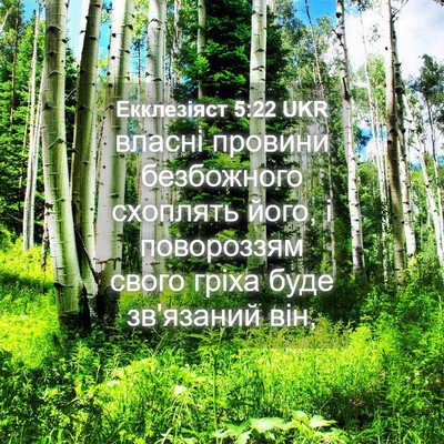 Picture 04 - Екклезіяст 5:22 UKR - власні провини безбожного - Bible Verse Picture