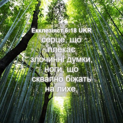 Picture 04 - Екклезіяст 6:18 UKR - серце, що плекає злочинні - Bible Verse Picture