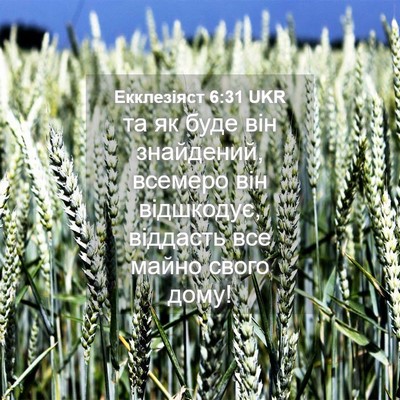 Picture 04 - Екклезіяст 6:31 UKR - та як буде він знайдений, - Bible Verse Picture