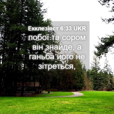 Picture 04 - Екклезіяст 6:33 UKR - побої та сором він знайде, - Bible Verse Picture