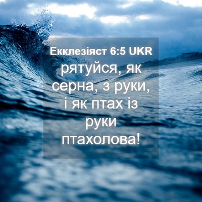 Picture 04 - Екклезіяст 6:5 UKR - рятуйся, як серна, з руки, і - Bible Verse Picture