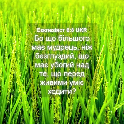Picture 04 - Екклезіяст 6:8 UKR - Бо що більшого має мудрець, - Bible Verse Picture