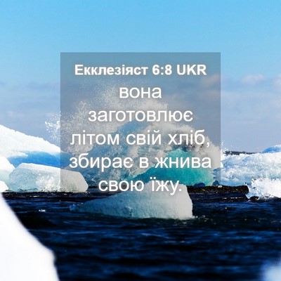 Picture 04 - Екклезіяст 6:8 UKR - вона заготовлює літом свій - Bible Verse Picture