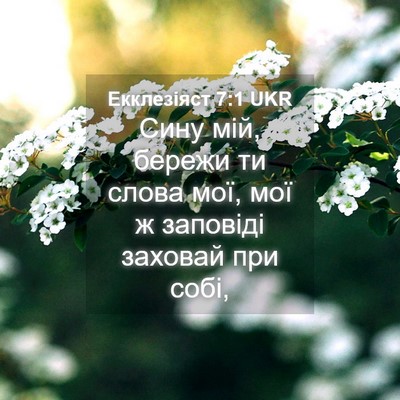 Picture 04 - Екклезіяст 7:1 UKR - Сину мій, бережи ти слова - Bible Verse Picture