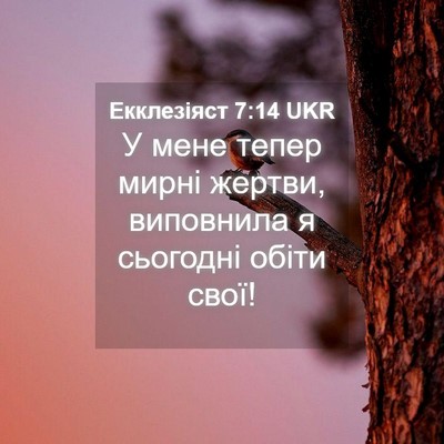 Picture 04 - Екклезіяст 7:14 UKR - У мене тепер мирні жертви, - Bible Verse Picture