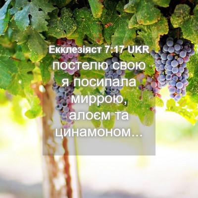 Picture 04 - Екклезіяст 7:17 UKR - постелю свою я посипала - Bible Verse Picture
