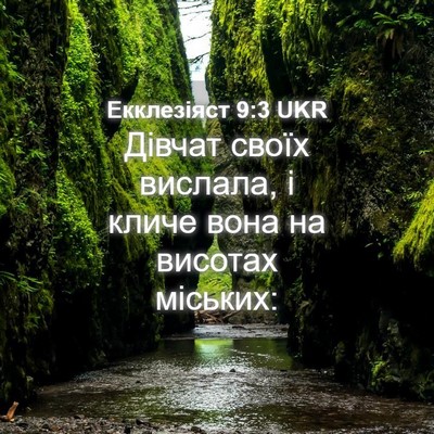 Picture 04 - Екклезіяст 9:3 UKR - Дівчат своїх вислала, і - Bible Verse Picture