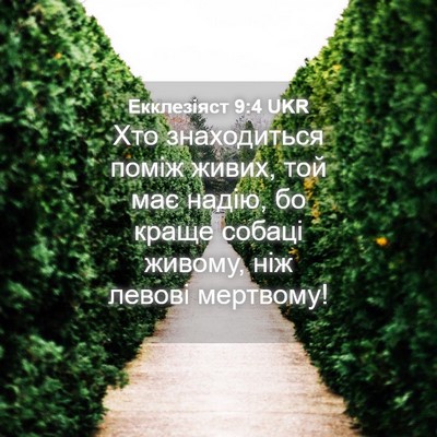 Picture 04 - Екклезіяст 9:4 UKR - Хто знаходиться поміж - Bible Verse Picture
