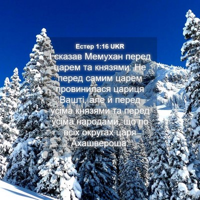 Picture 04 - Естер 1:16 UKR - І сказав Мемухан перед - Bible Verse Picture