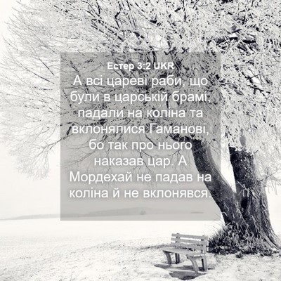 Picture 04 - Естер 3:2 UKR - А всі цареві раби, що були в - Bible Verse Picture