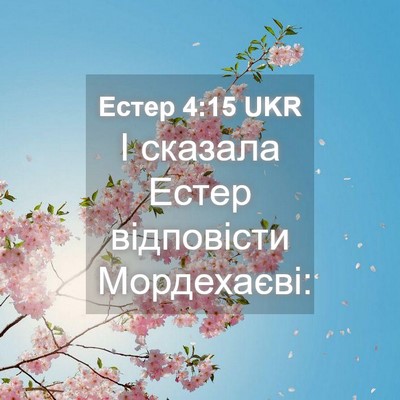 Picture 04 - Естер 4:15 UKR - І сказала Естер відповісти - Bible Verse Picture