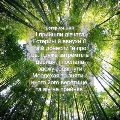 Picture 04 - Естер 4:4 UKR - І прийшли дівчата Естерині - Bible Verse Picture