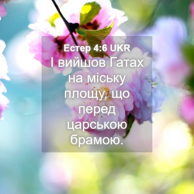 Picture 04 - Естер 4:6 UKR - І вийшов Гатах на міську - Bible Verse Picture