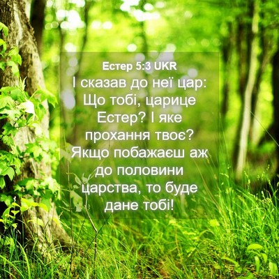Picture 04 - Естер 5:3 UKR - І сказав до неї цар: Що - Bible Verse Picture