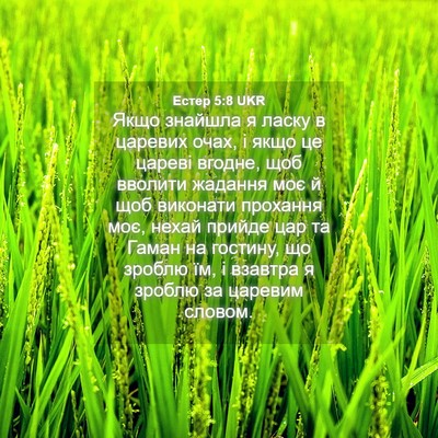 Picture 04 - Естер 5:8 UKR - Якщо знайшла я ласку в - Bible Verse Picture