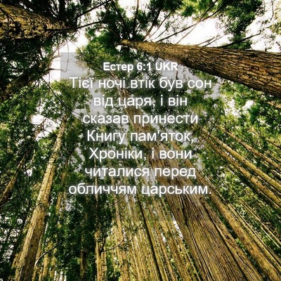 Picture 04 - Естер 6:1 UKR - Тієї ночі втік був сон від - Bible Verse Picture