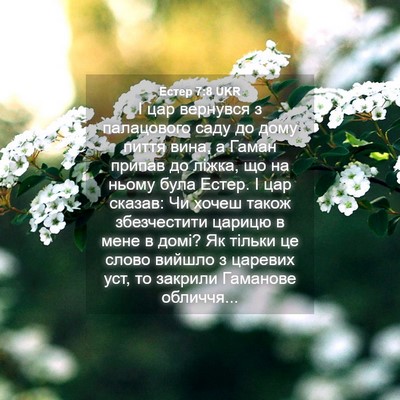 Picture 04 - Естер 7:8 UKR - І цар вернувся з - Bible Verse Picture