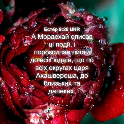 Picture 04 - Естер 9:20 UKR - А Мордехай описав ці події, - Bible Verse Picture