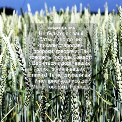 Picture 04 - Захарія 1:4 UKR - Не будьте, як ваші батьки, - Bible Verse Picture