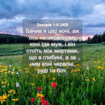 Picture 04 - Захарія 1:8 UKR - Бачив я цієї ночі, аж ось на - Bible Verse Picture