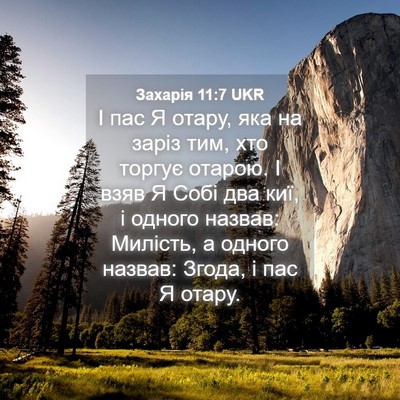 Picture 04 - Захарія 11:7 UKR - І пас Я отару, яка на заріз - Bible Verse Picture