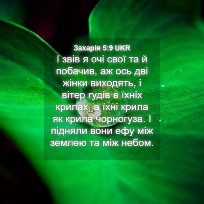 Picture 04 - Захарія 5:9 UKR - І звів я очі свої та й - Bible Verse Picture