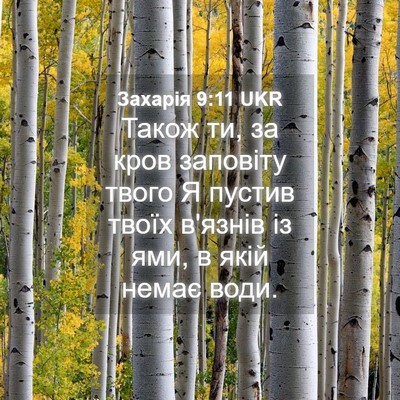 Picture 04 - Захарія 9:11 UKR - Також ти, за кров заповіту - Bible Verse Picture
