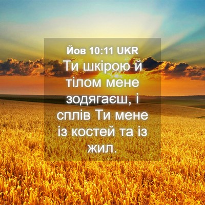 Picture 04 - Йов 10:11 UKR - Ти шкірою й тілом мене - Bible Verse Picture