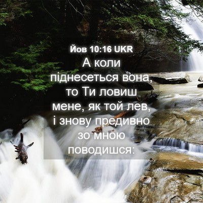Picture 04 - Йов 10:16 UKR - А коли піднесеться вона, то - Bible Verse Picture